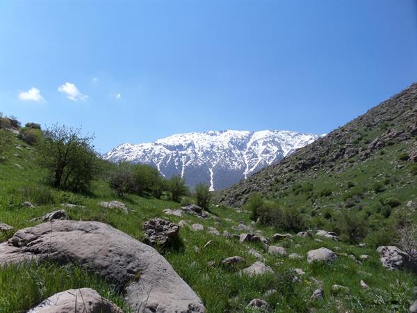 پیمایش دره به مسافت 18 کیلومتر از روستای کوری زاغه تا قلعه گاه توسط گروه کوهنوردی دانشگاه علوم پزشکی کرمانشاه